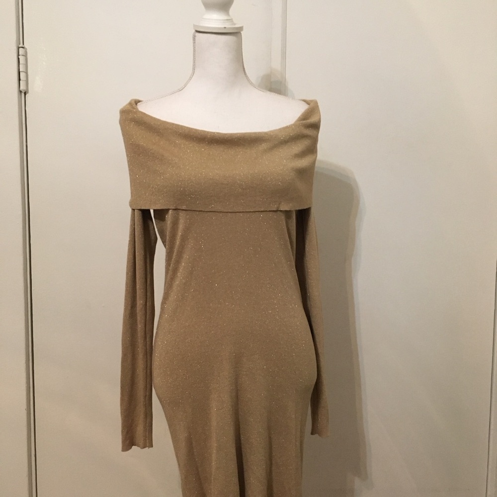Shimmery Tan Off-Shoulder Long Sleeve Dress